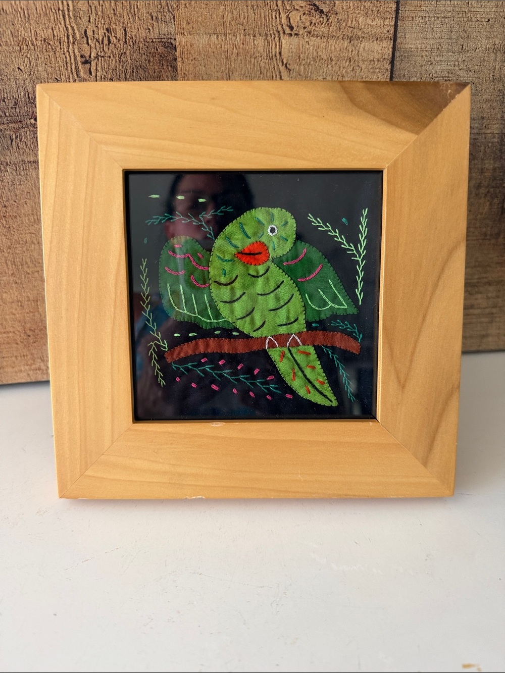 Framed Green Parrot Embroidered Mola Folk Art